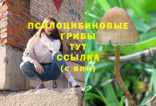 COCAINE Белокуриха