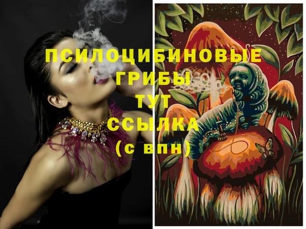 ешки Беломорск