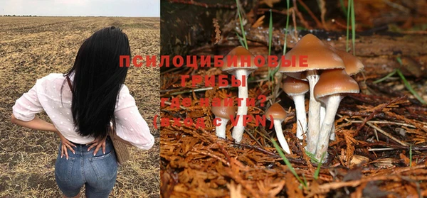 ешки Беломорск