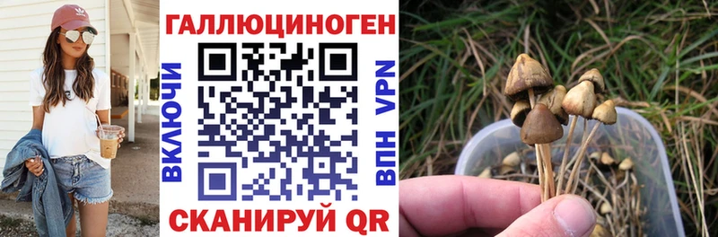 Псилоцибиновые грибы GOLDEN TEACHER  Уфа 