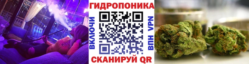 Бошки Шишки план  Уфа 